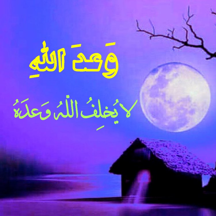 SAID MARIE (@saidmarie57) on Twitter photo 