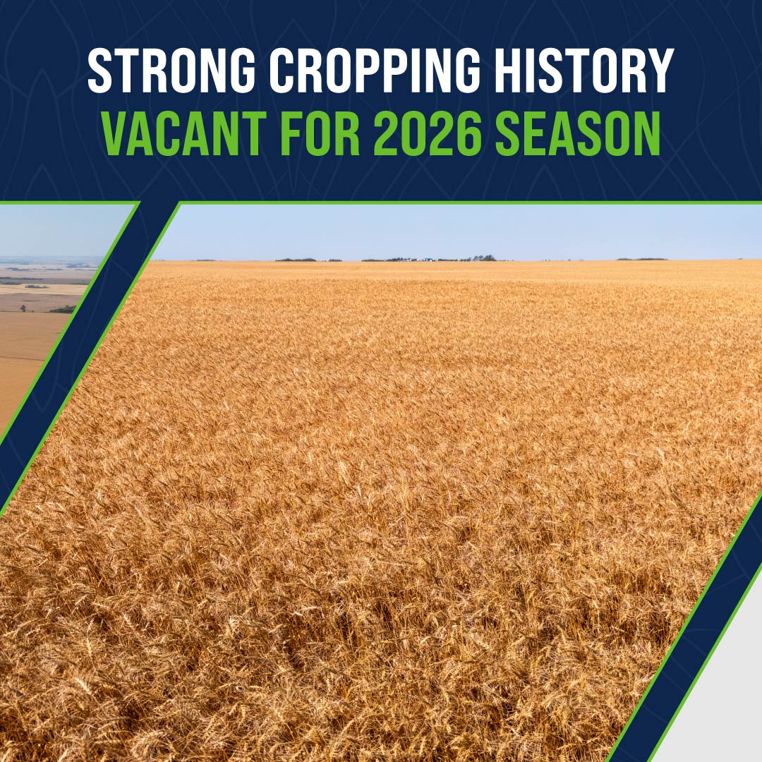 Sheppard Realty tweet media