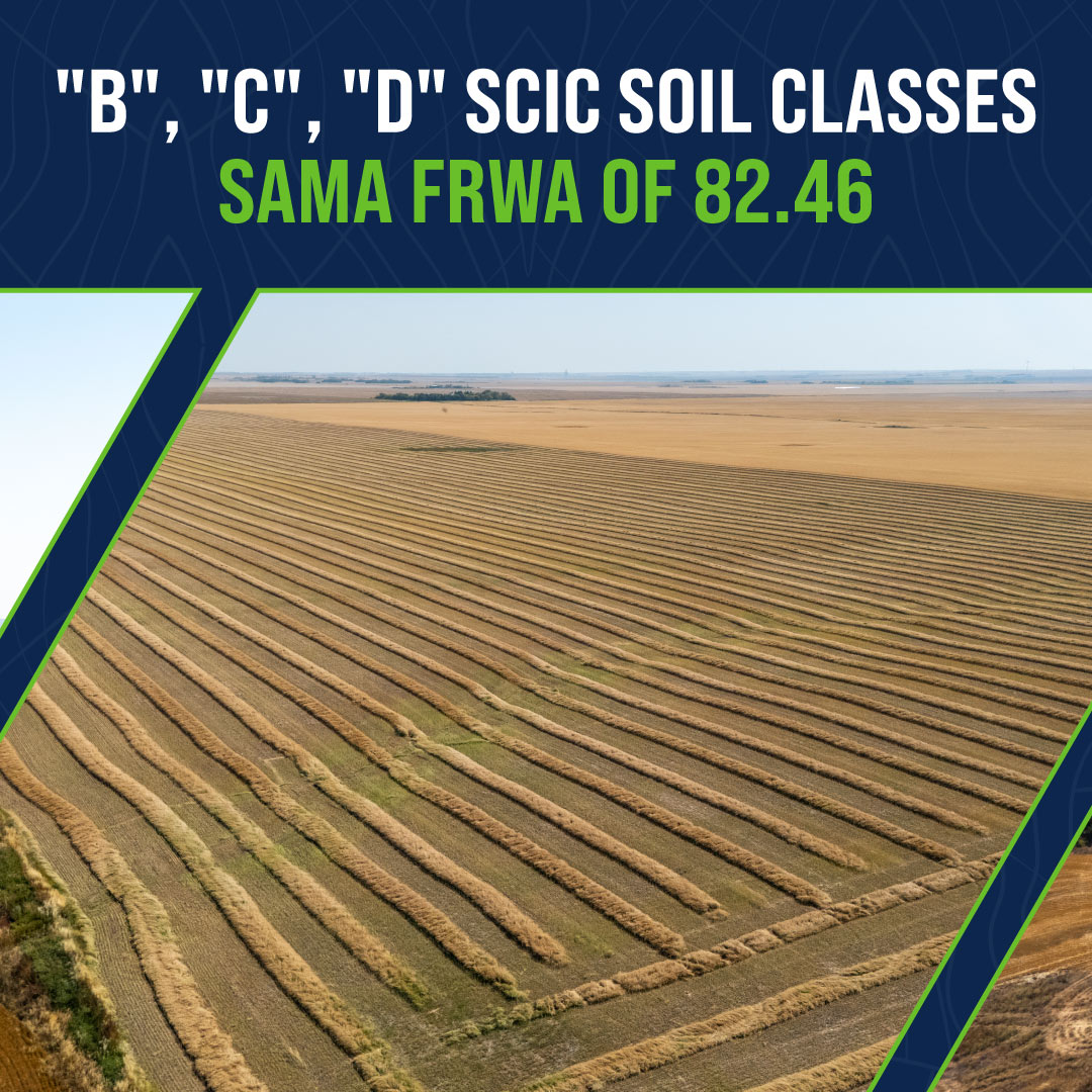 Sheppard Realty tweet media