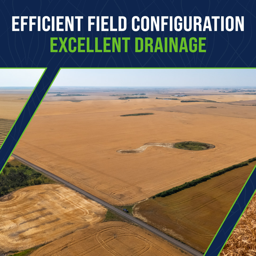 Sheppard Realty tweet media