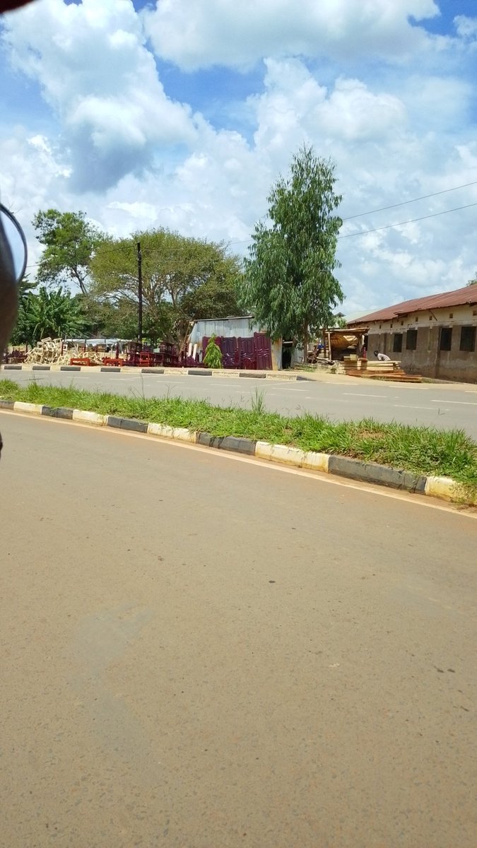 Lango Unveiled 🌴 tweet media