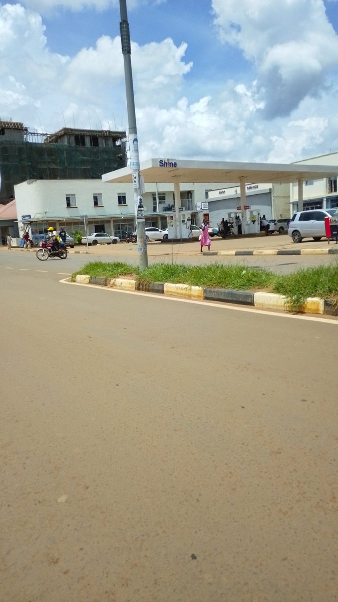 Lango Unveiled 🌴 tweet media