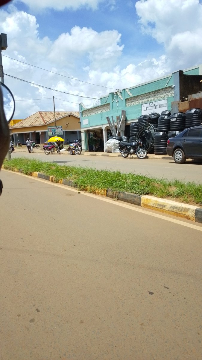 Lango Unveiled 🌴 tweet media