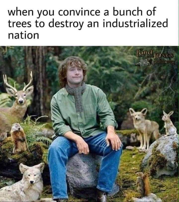 Lord of the Rings Daily tweet media