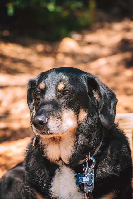 Tavon Jukes tweet media