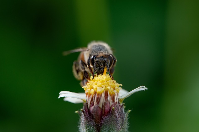 Lipeng Everett tweet media