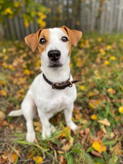 Brandon Caldwell tweet media