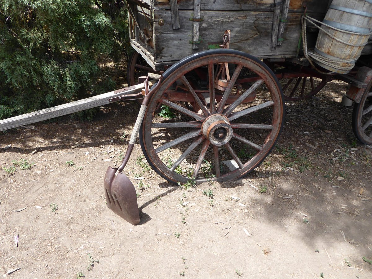 Family Well Traveled tweet media