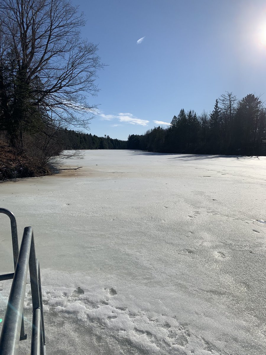 Courtney🐮 tweet media