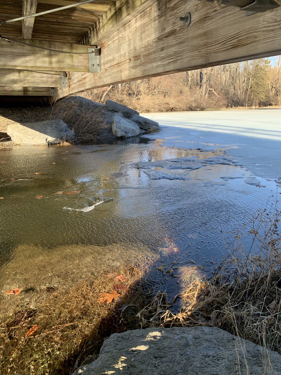 Courtney🐮 tweet media