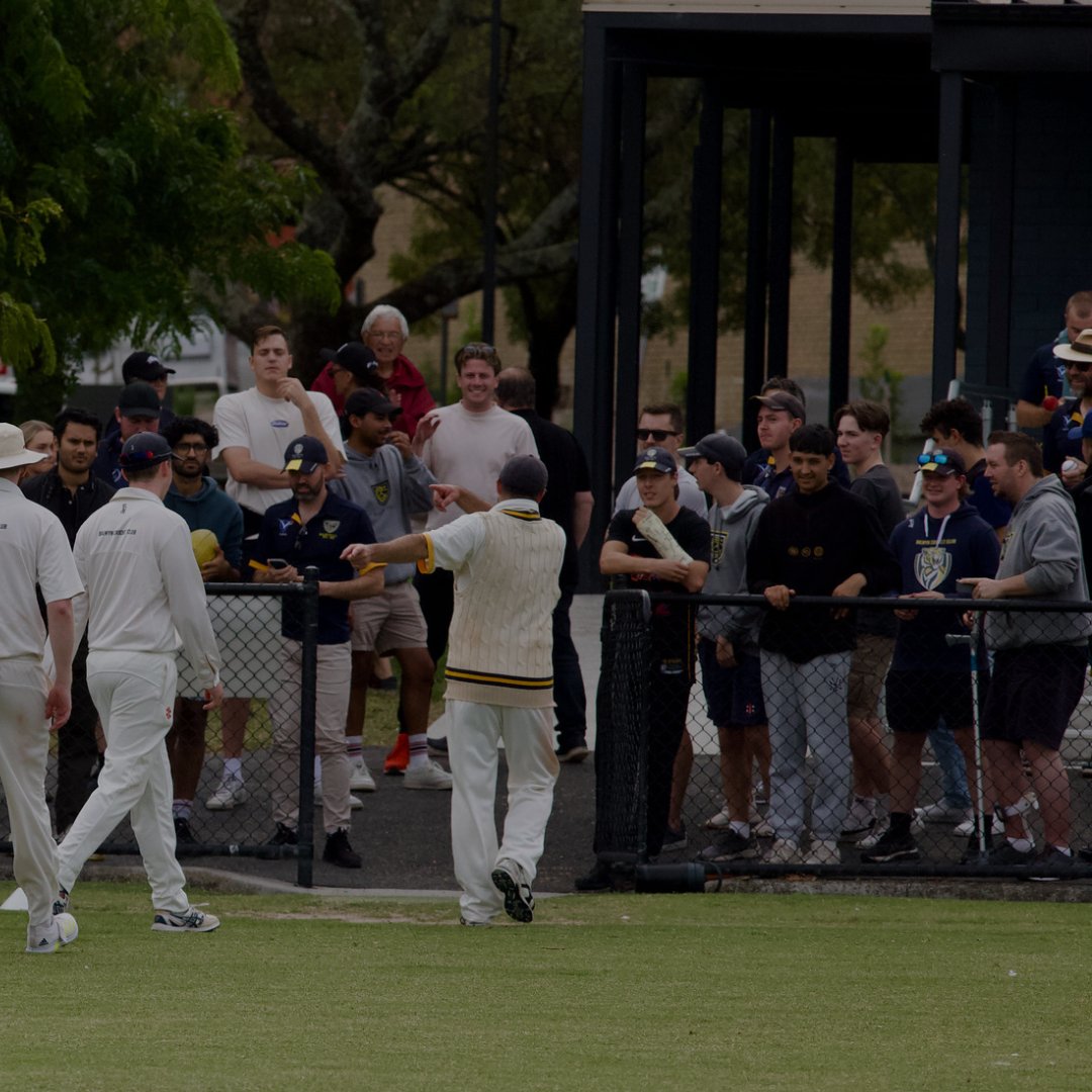 Balwyn Cricket Club ๐๐๐ฏ๐ tweet media