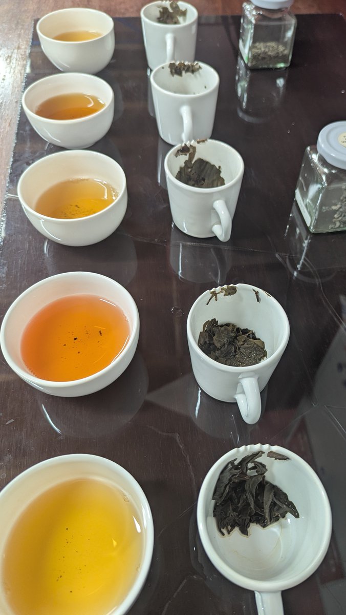 ElmstockTea's tweet photo. This week we have been tasting some new offerings. This batch was particularly good. Look out for some new teas coming soon. https://t.co/bqFx3eIpEU