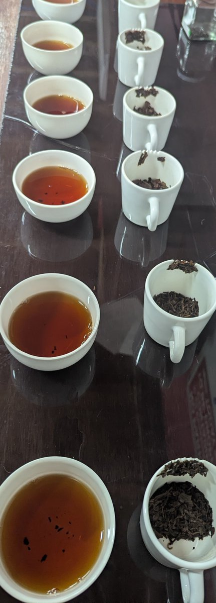 ElmstockTea's tweet photo. This week we have been tasting some new offerings. This batch was particularly good. Look out for some new teas coming soon. https://t.co/bqFx3eIpEU