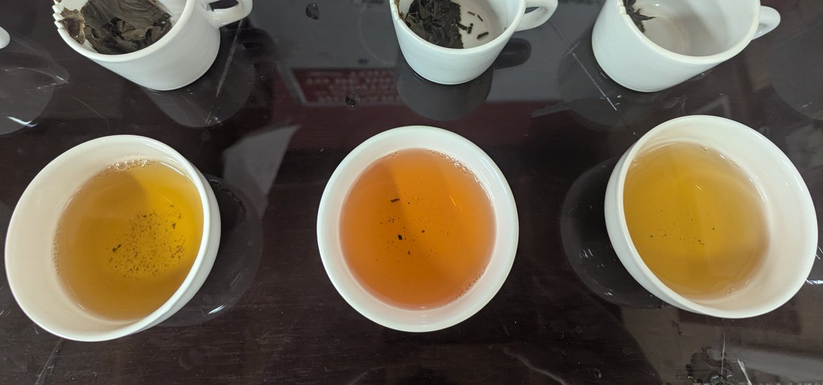 ElmstockTea's tweet photo. This week we have been tasting some new offerings. This batch was particularly good. Look out for some new teas coming soon. https://t.co/bqFx3eIpEU