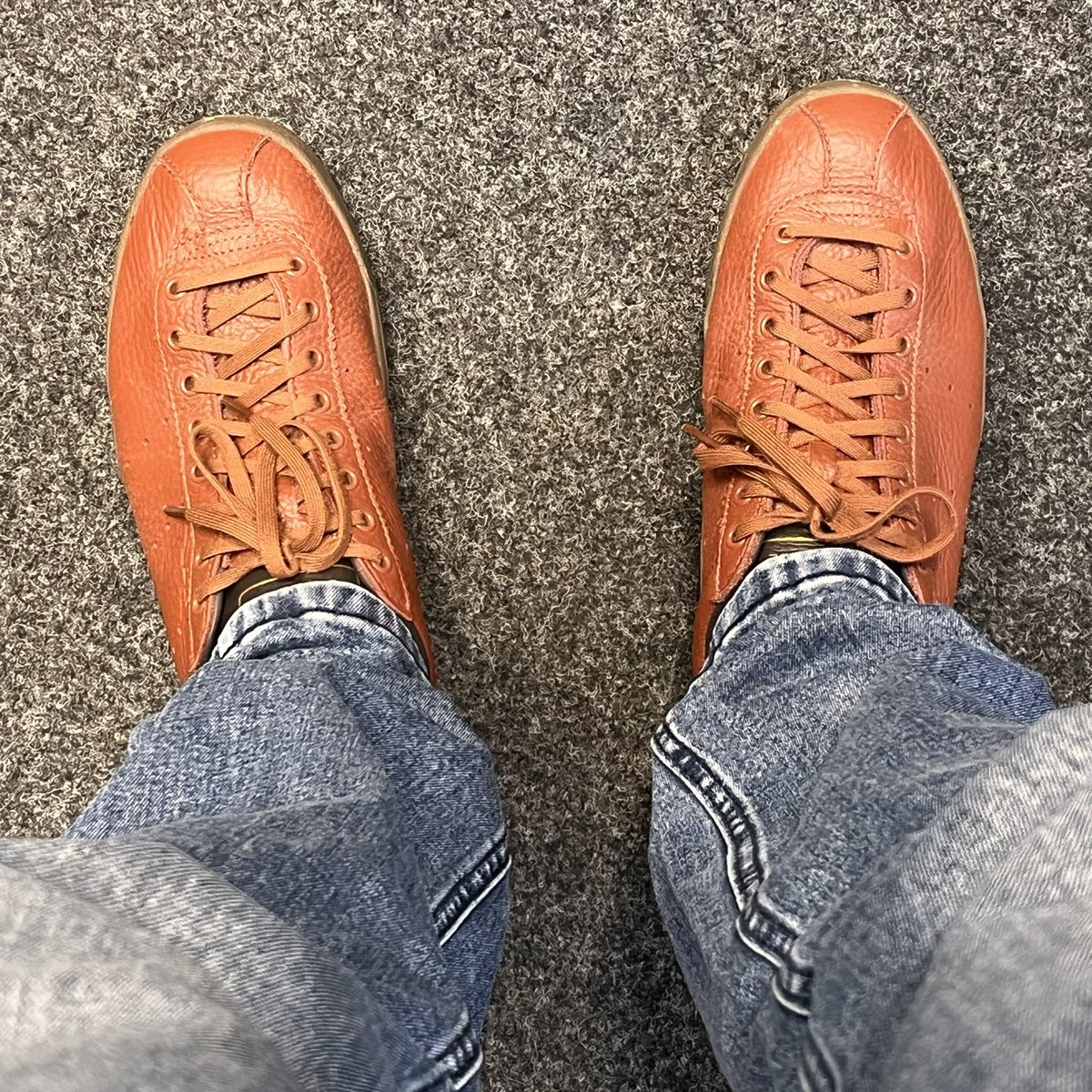 kingcibo tweet media