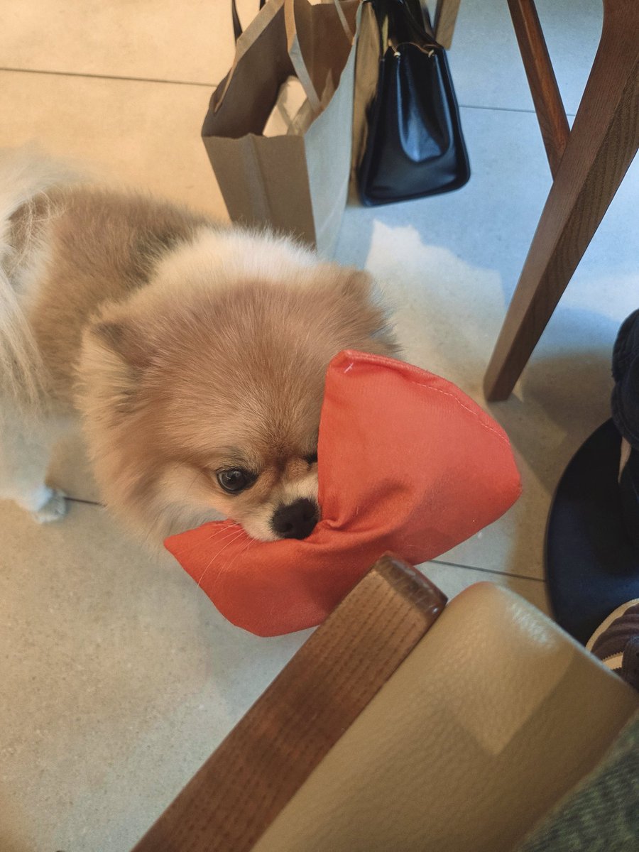 宜笑🍵 tweet media