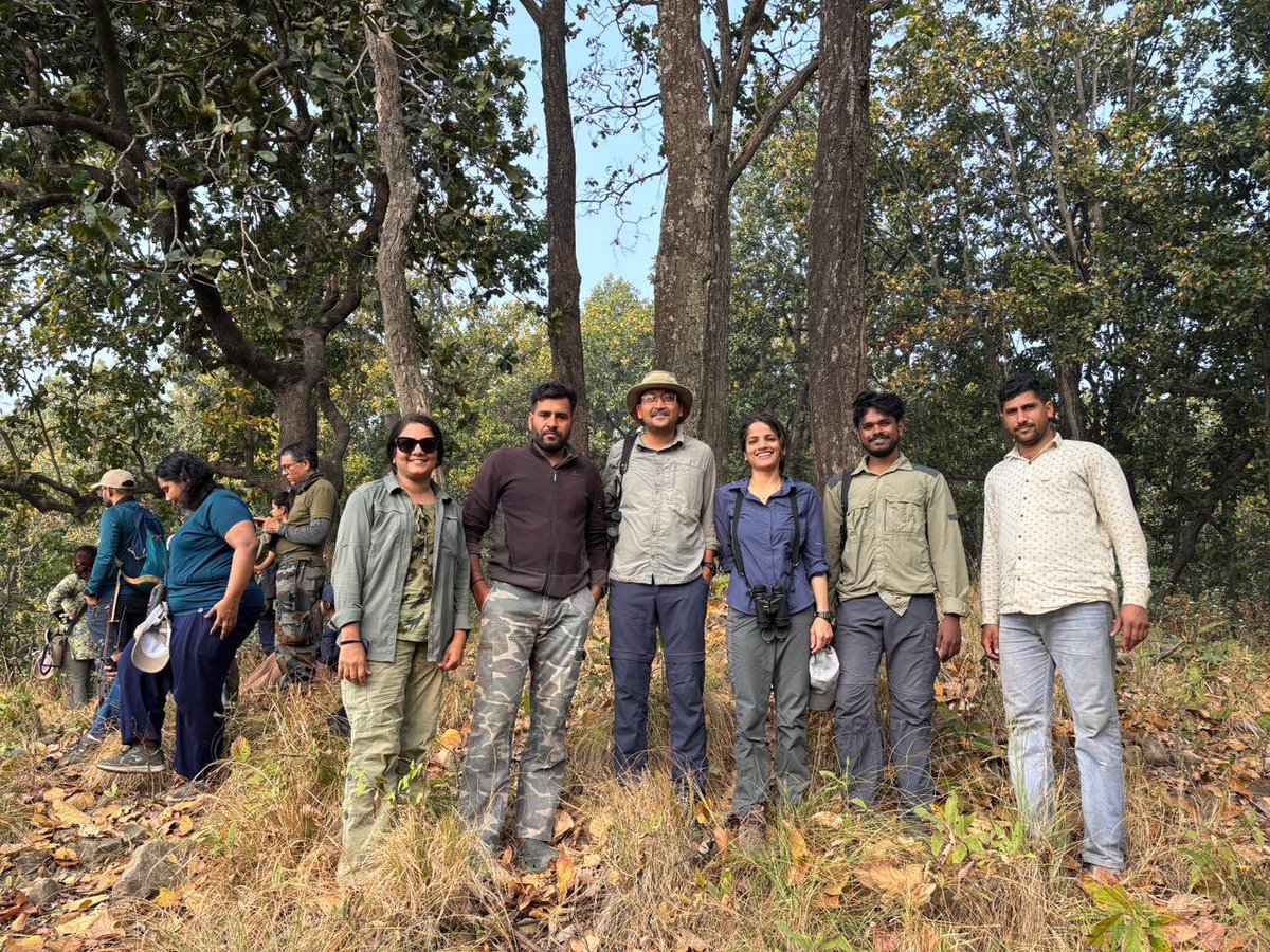 Wildlife Institute of India tweet media