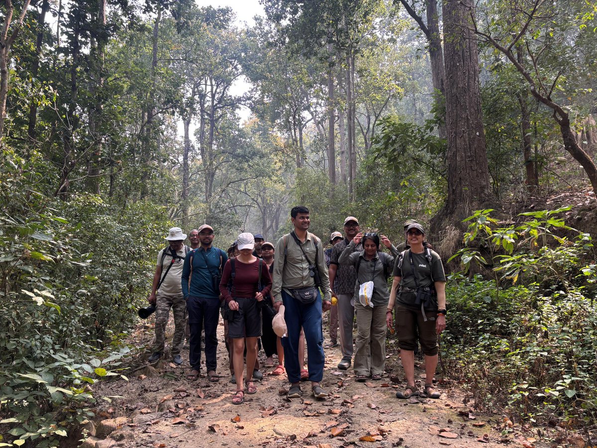 Wildlife Institute of India tweet media