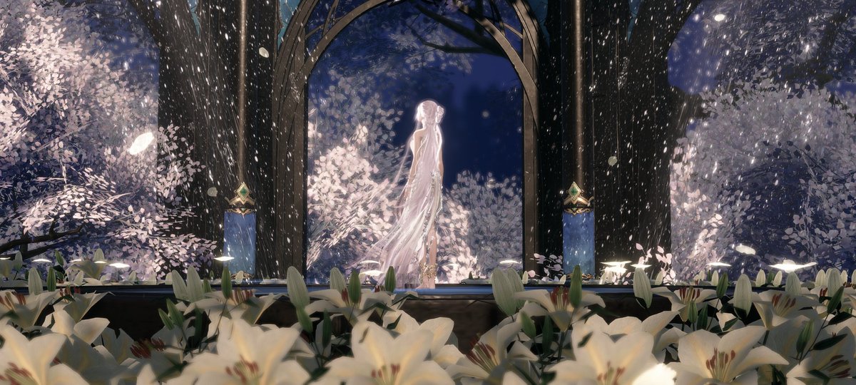 桃子小姐 tweet media