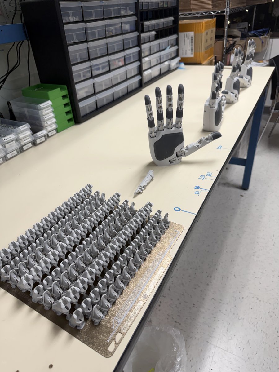 Chestnut Robotics tweet media