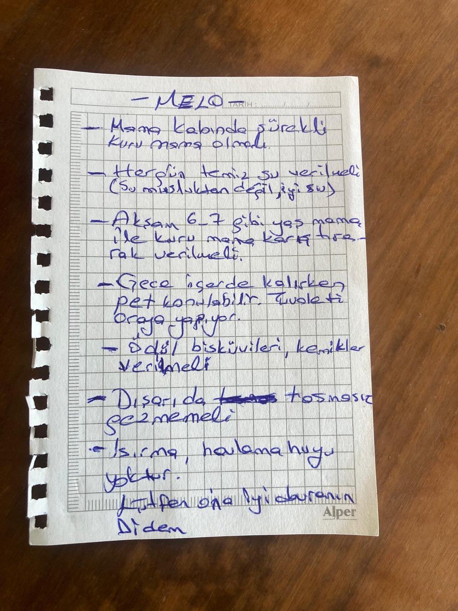enazuckopek's tweet photo. Melo’nun sahibi çok hasta ve hastaneye yatırılmış durumda. Hastalığını az çok tahmin edersiniz. Bu yüzden Melo için acil olarak İstanbul içinde yeni bir yuva arıyoruz.

1,5 yaşında çipi var aşıları tam tuvalet eğitimi var. 

(Notu okuyun ) https://t.co/ds1OXK6o00