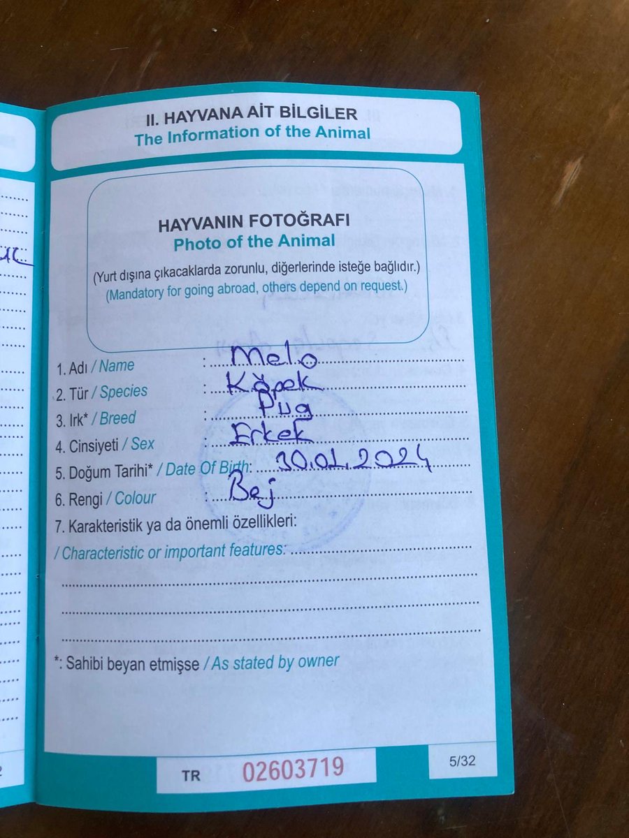 enazuckopek's tweet photo. Melo’nun sahibi çok hasta ve hastaneye yatırılmış durumda. Hastalığını az çok tahmin edersiniz. Bu yüzden Melo için acil olarak İstanbul içinde yeni bir yuva arıyoruz.

1,5 yaşında çipi var aşıları tam tuvalet eğitimi var. 

(Notu okuyun ) https://t.co/ds1OXK6o00