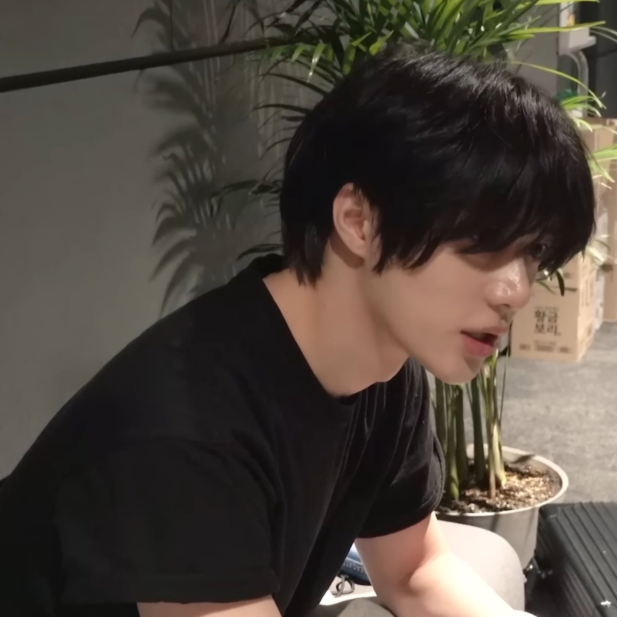 먿드 tweet media
