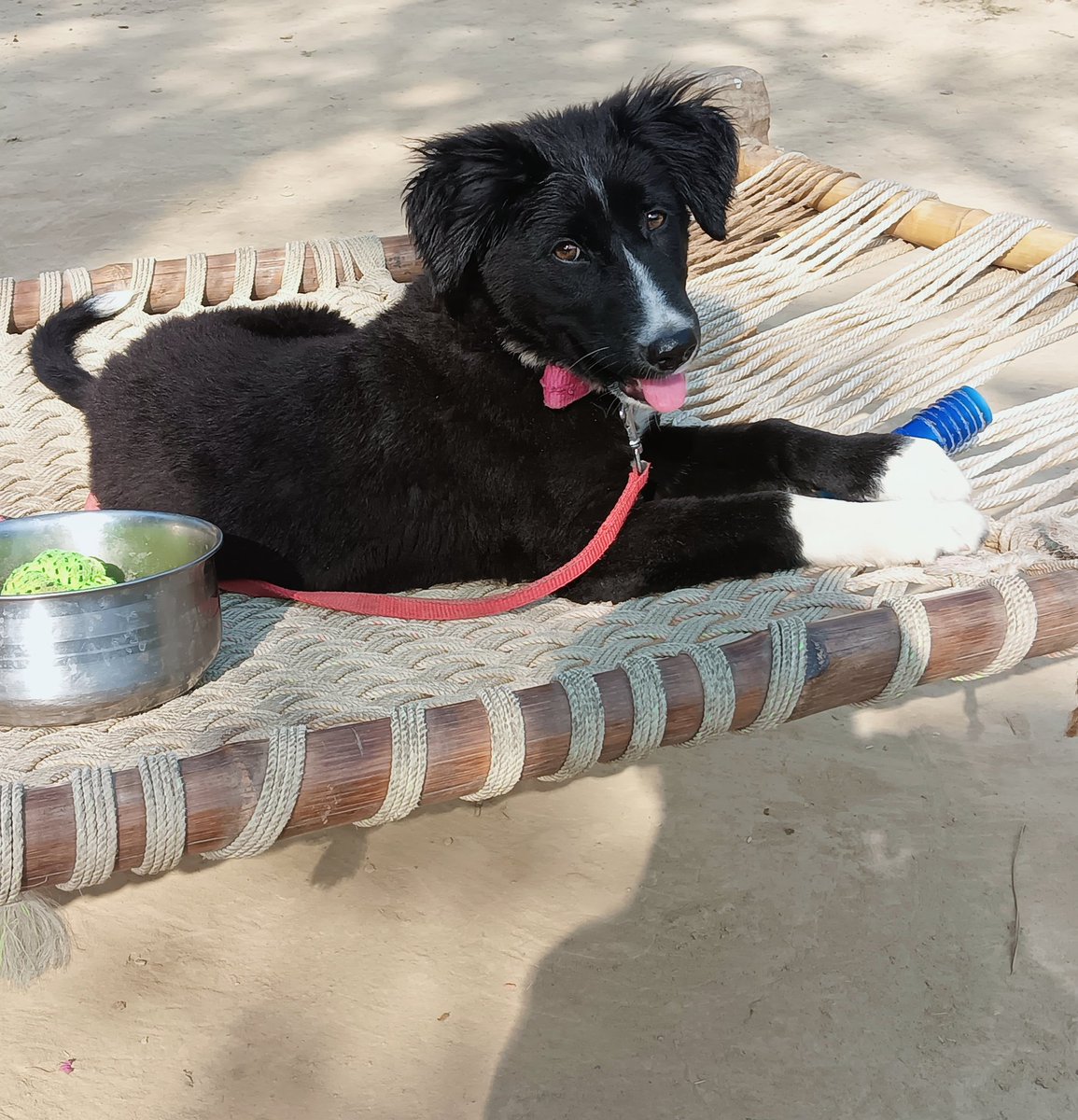 Ankit Pandey tweet media