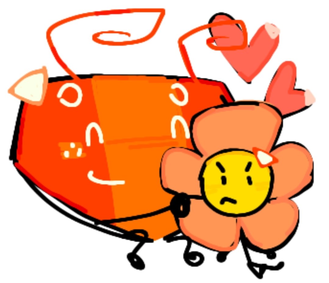 DAILY FLOWBY tweet media