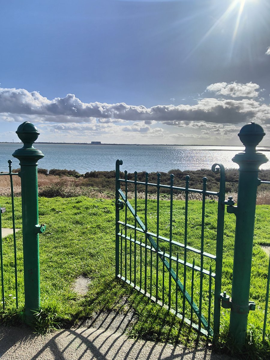 Matt Edwards tweet media