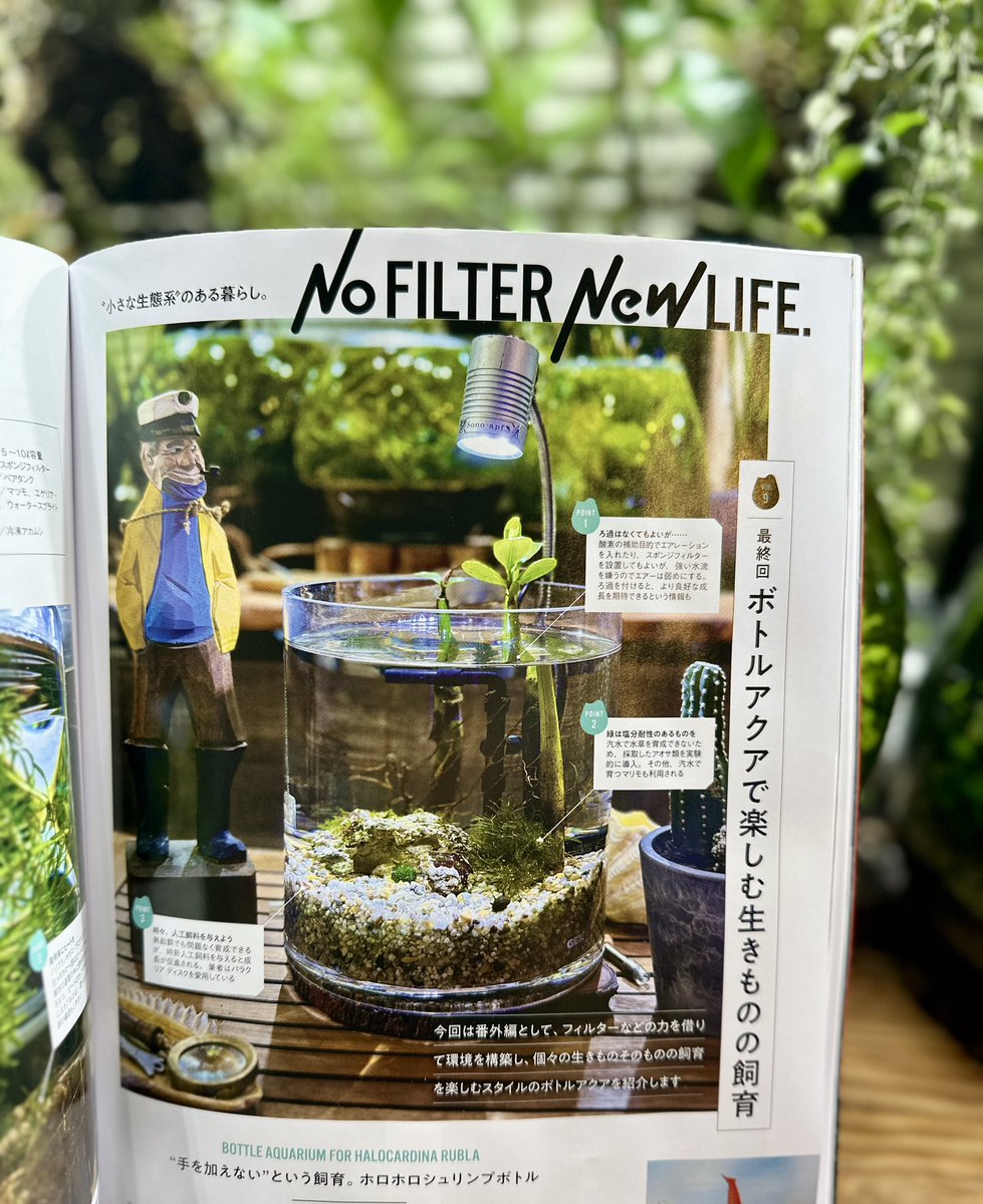 SONOアクアプランツファーム tweet media