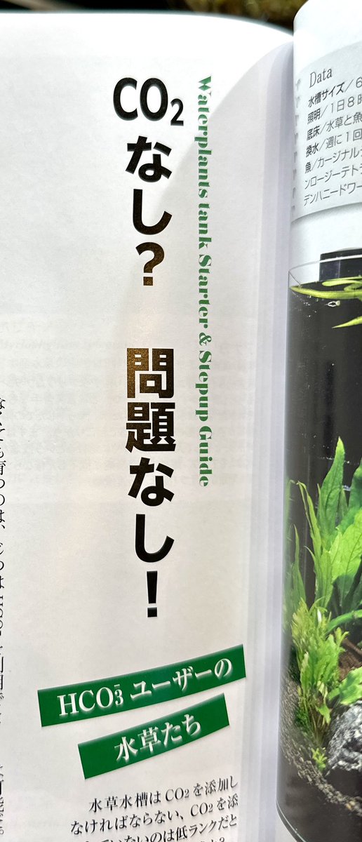 SONOアクアプランツファーム tweet media