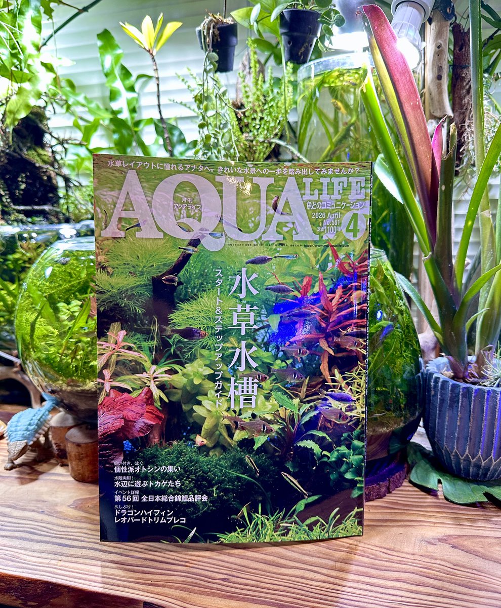 SONOアクアプランツファーム tweet media