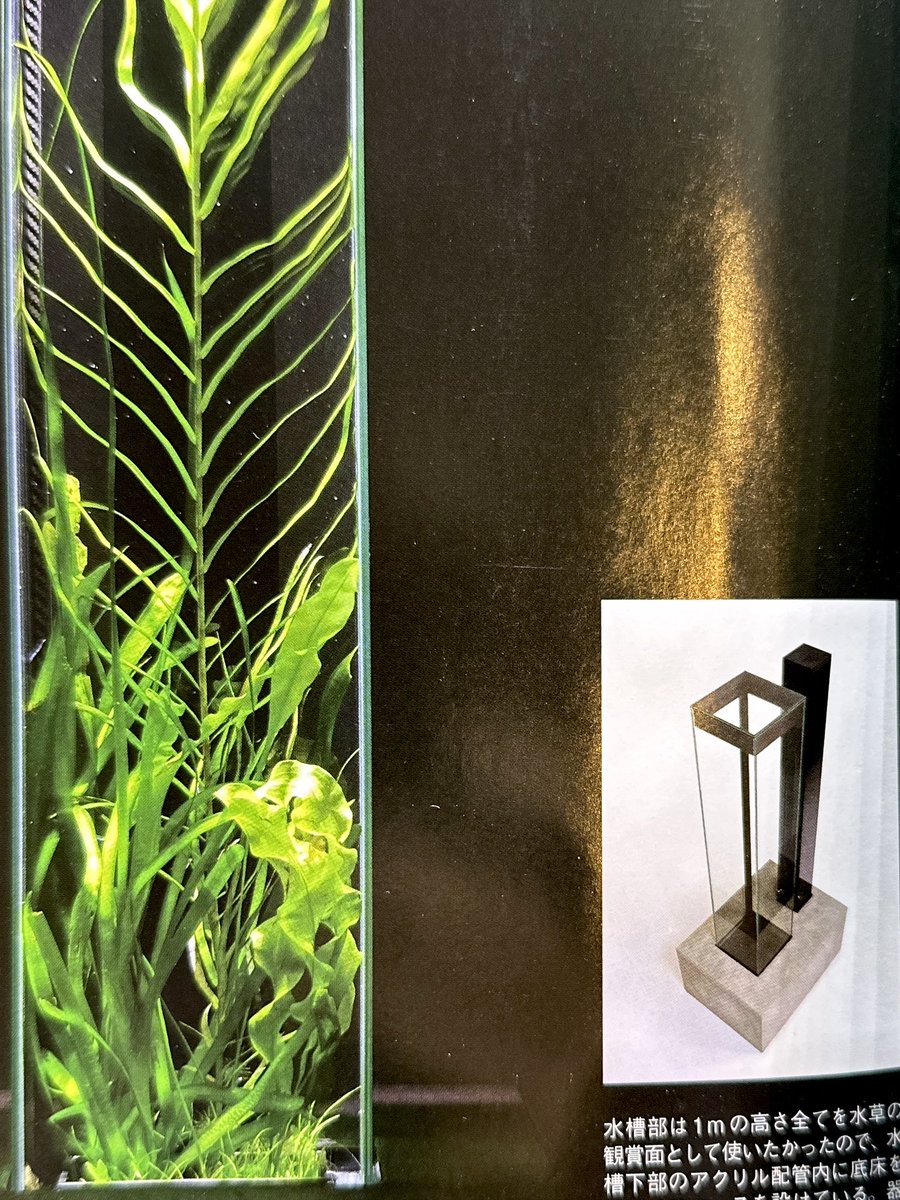 SONOアクアプランツファーム tweet media