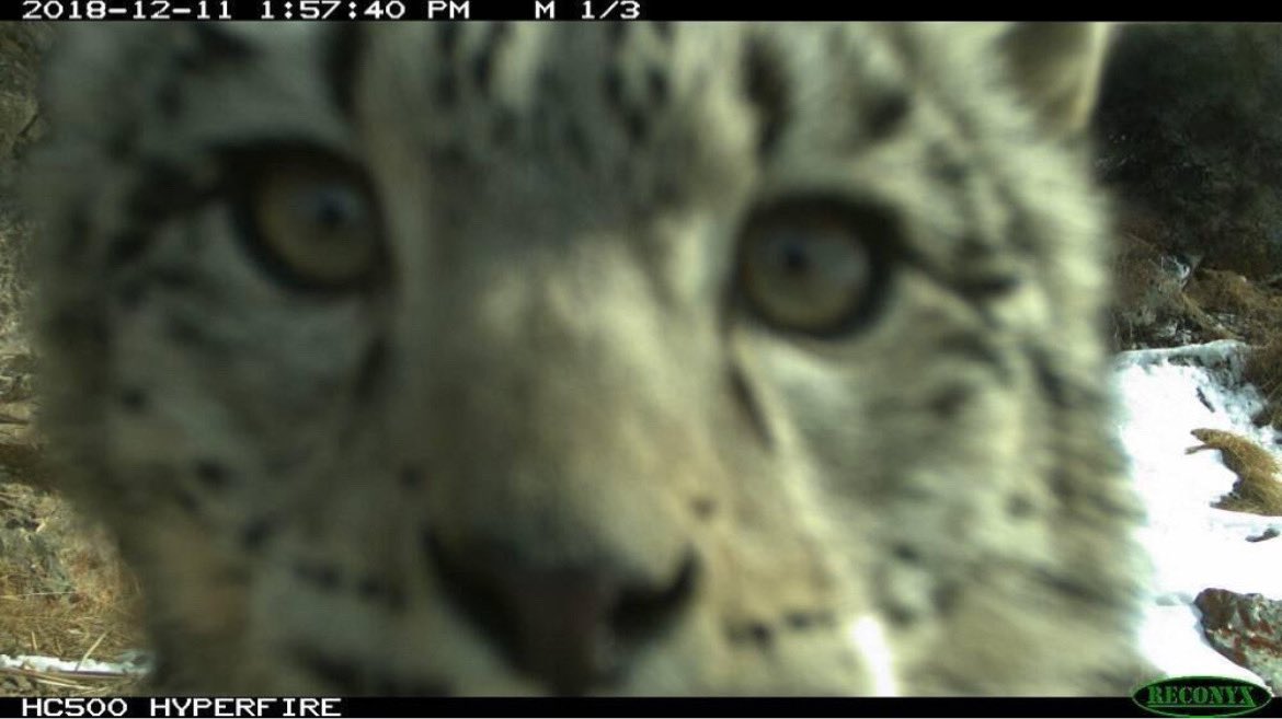 Muffin 🇨🇿 tweet media