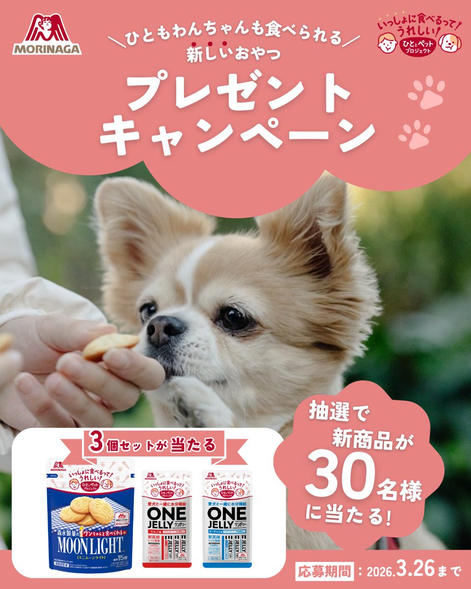 ひととペット tweet media