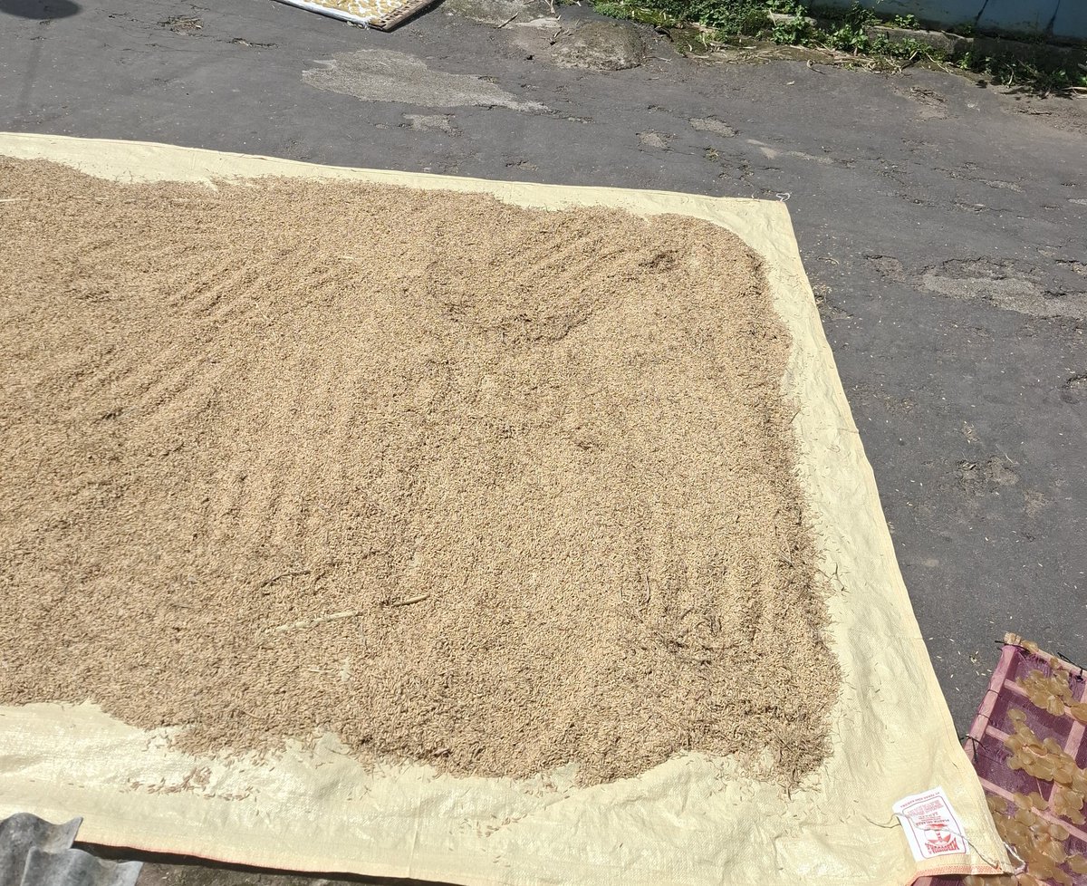 Aku dan 33°C

Tempat kalian panas gak hari ini