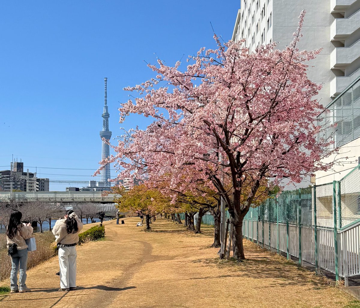 ハッチャン：ランニングアドバイザー tweet media