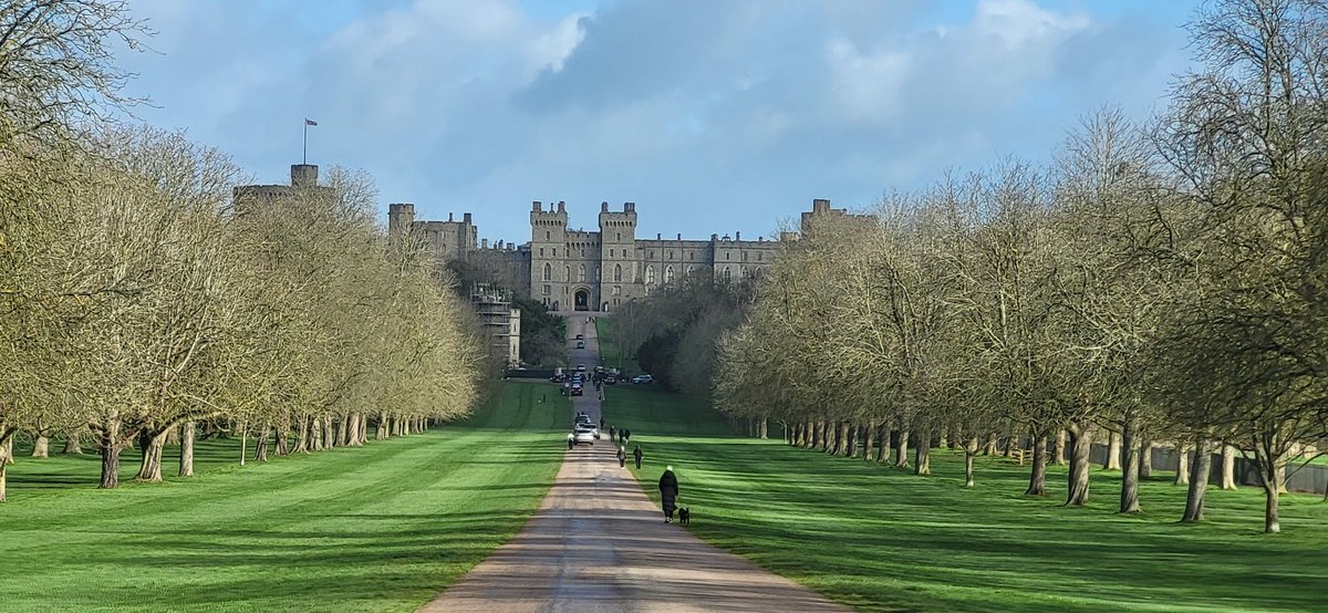 𝔇𝔬𝔫𝔫𝔞 ❤️⛳️ tweet media