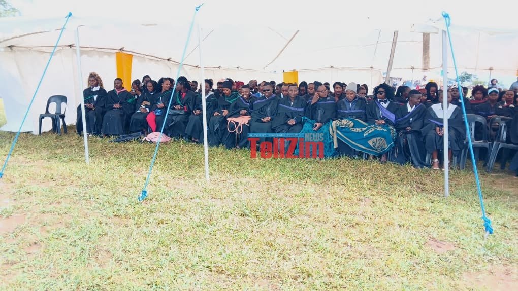 TellZim News tweet media