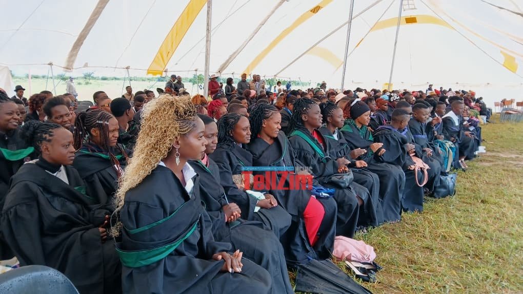 TellZim News tweet media