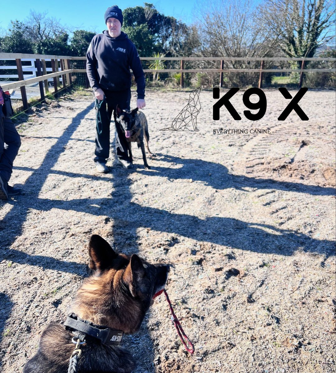 IOM Shepherds tweet media