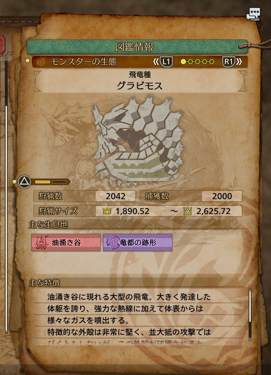 yuiyui🐈‍⬛🐾 tweet media