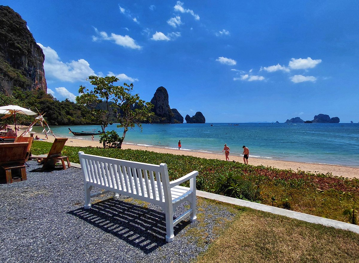 My Favourite Bench tweet media