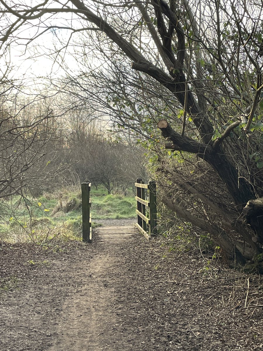 Tony Warne tweet media