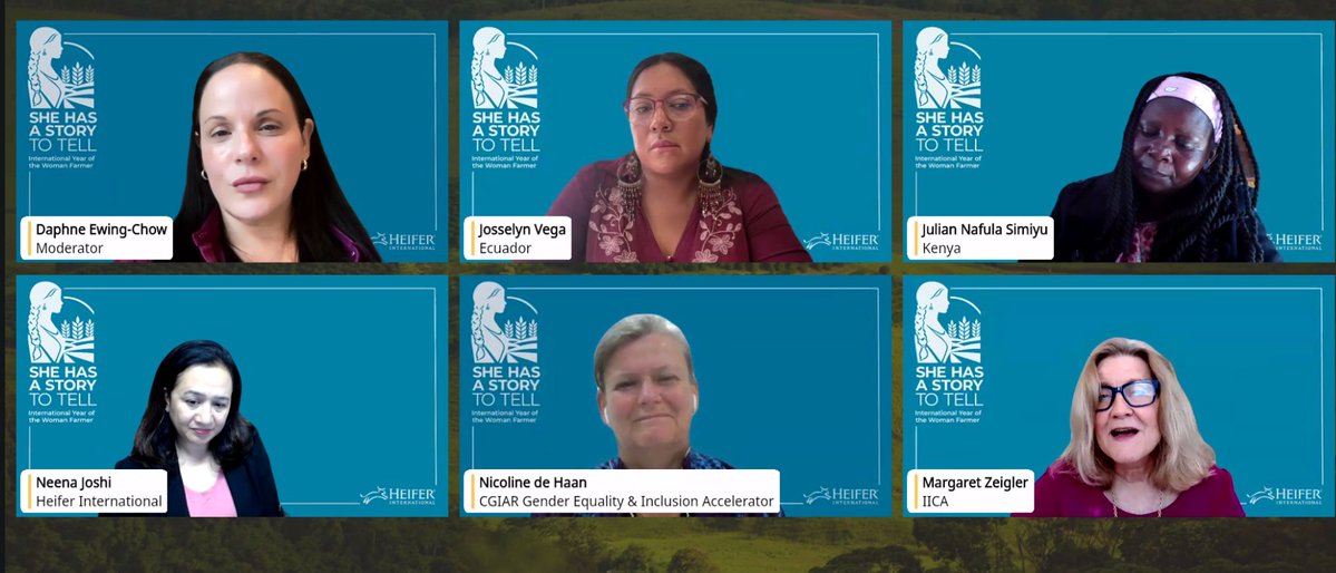 Heifer Kenya tweet media