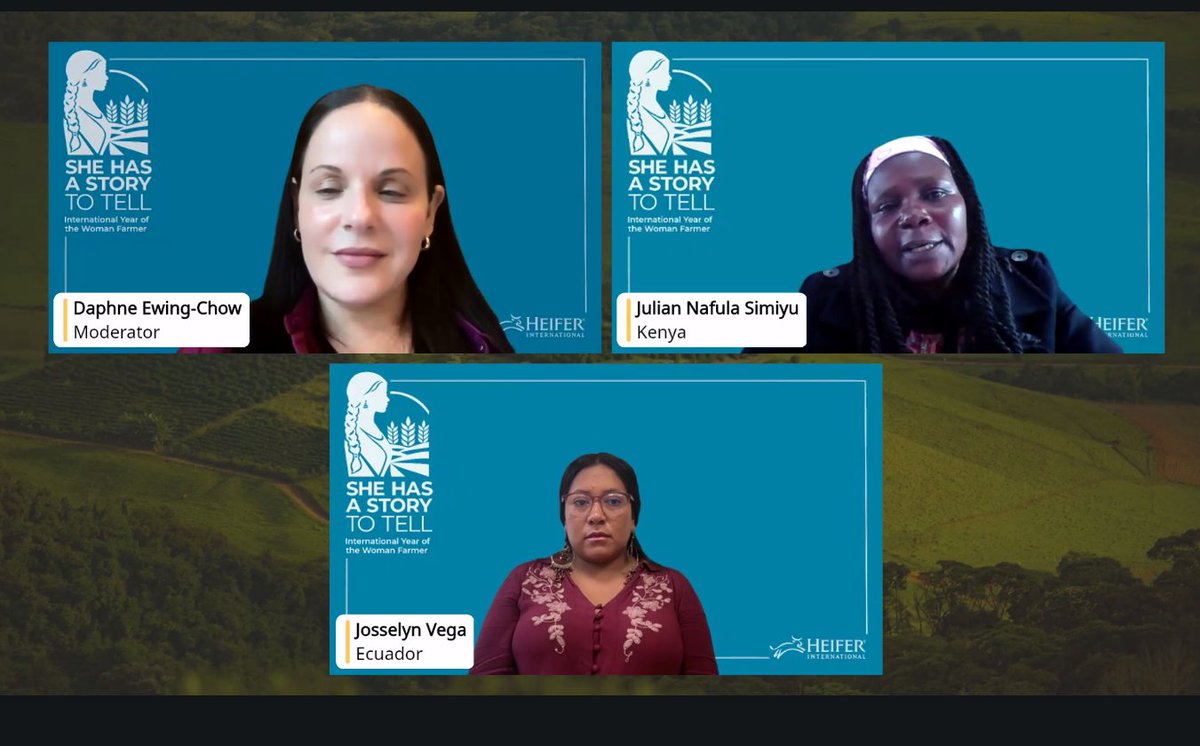 Heifer Kenya tweet media