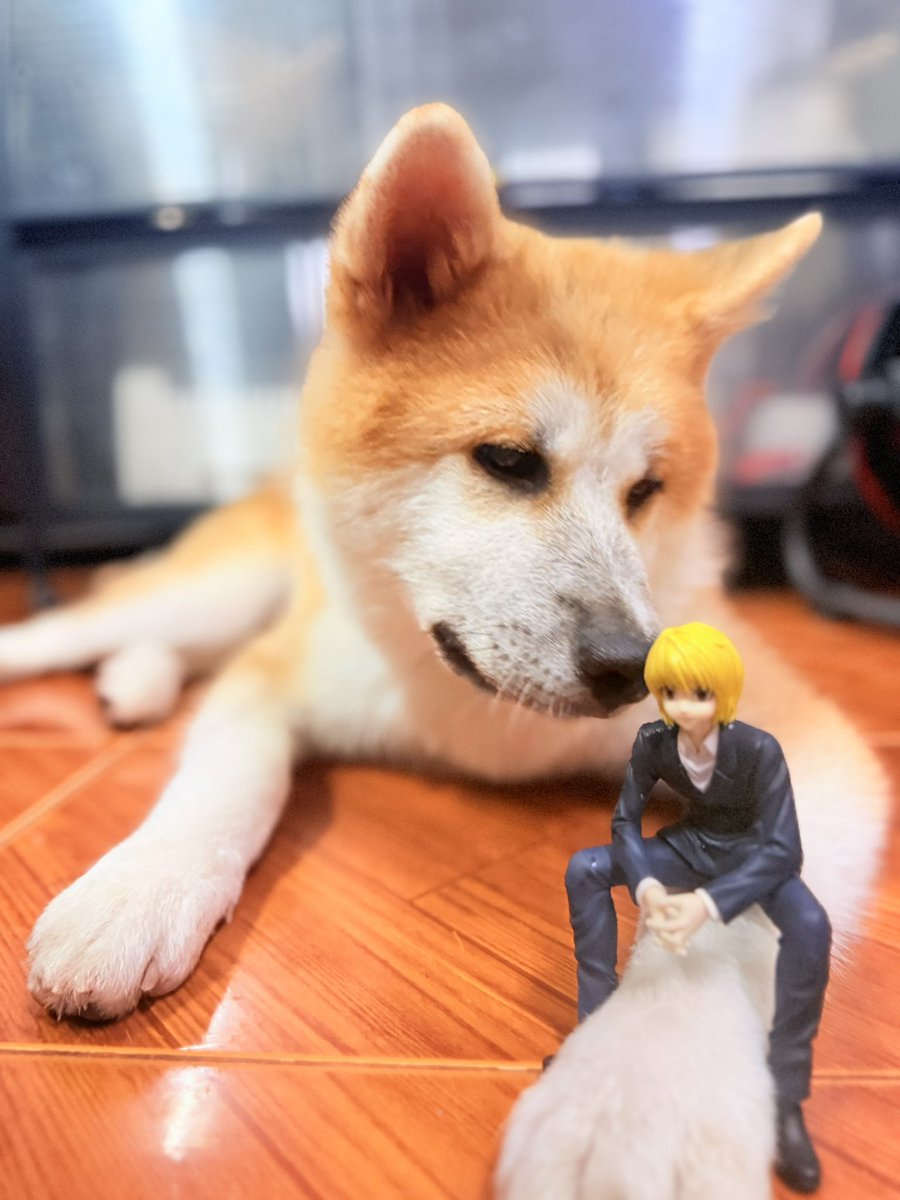 My BOY 💖💖💖💖💖💖
Leorio(my son) &amp; Kurapika
💖💖💖💖💖💖💖💖💖