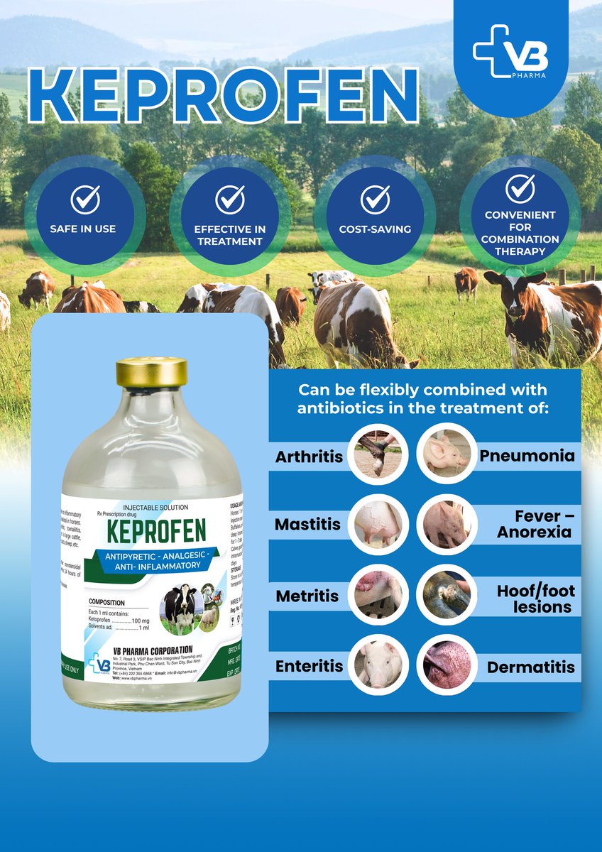 VBPharmaCorp's tweet photo. ✍️Anti-inflammatory, antipyretic, analgesic in inflammatory diseases of osteoarthritis &amp; musculoskeletal
#vbpharmacorp #keprofen #veterinarymedicine #animalhealth #export https://t.co/u0ItFnvAjR