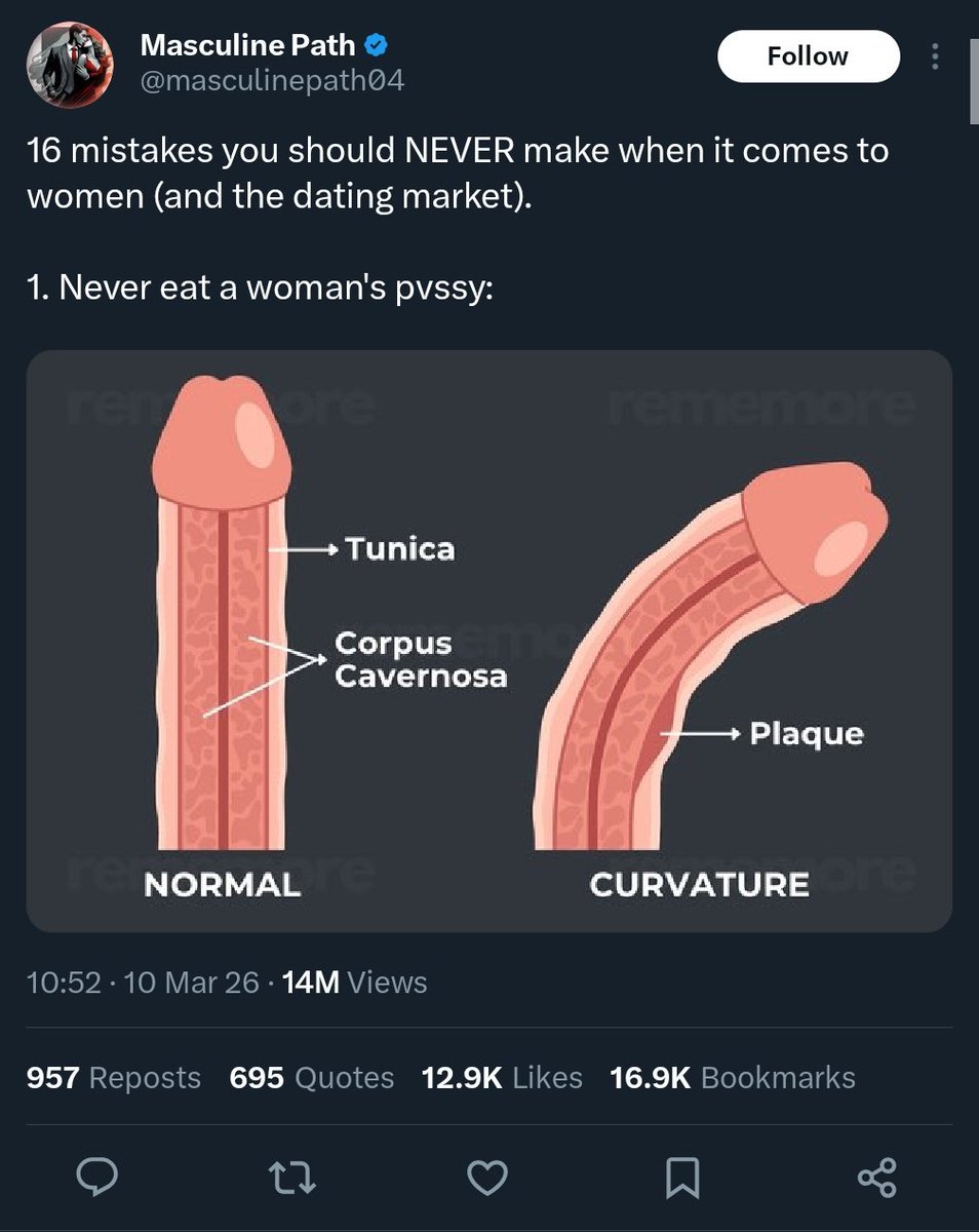 𝘽𝙧𝙮𝙣𝙣 ➡️AC tweet media